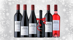 Winter Survival Red Pack 2022