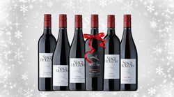 Winter Survival Red Pack 2023