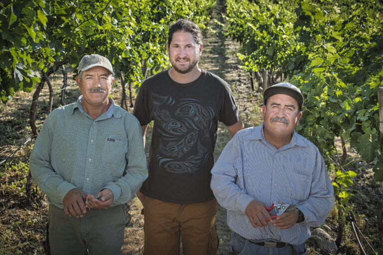 Vineyard Team